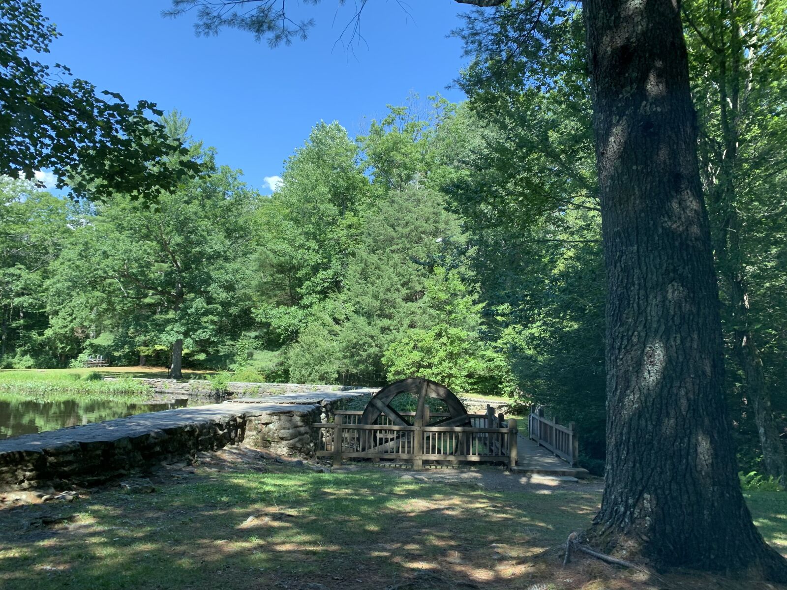 iPhone XR back camera 4.25mm f/1.8 sample photo. Connecticut, park, na photography