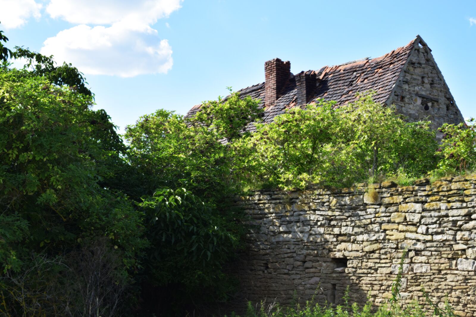 Nikon D3300 sample photo. Old house, abandoned, old photography