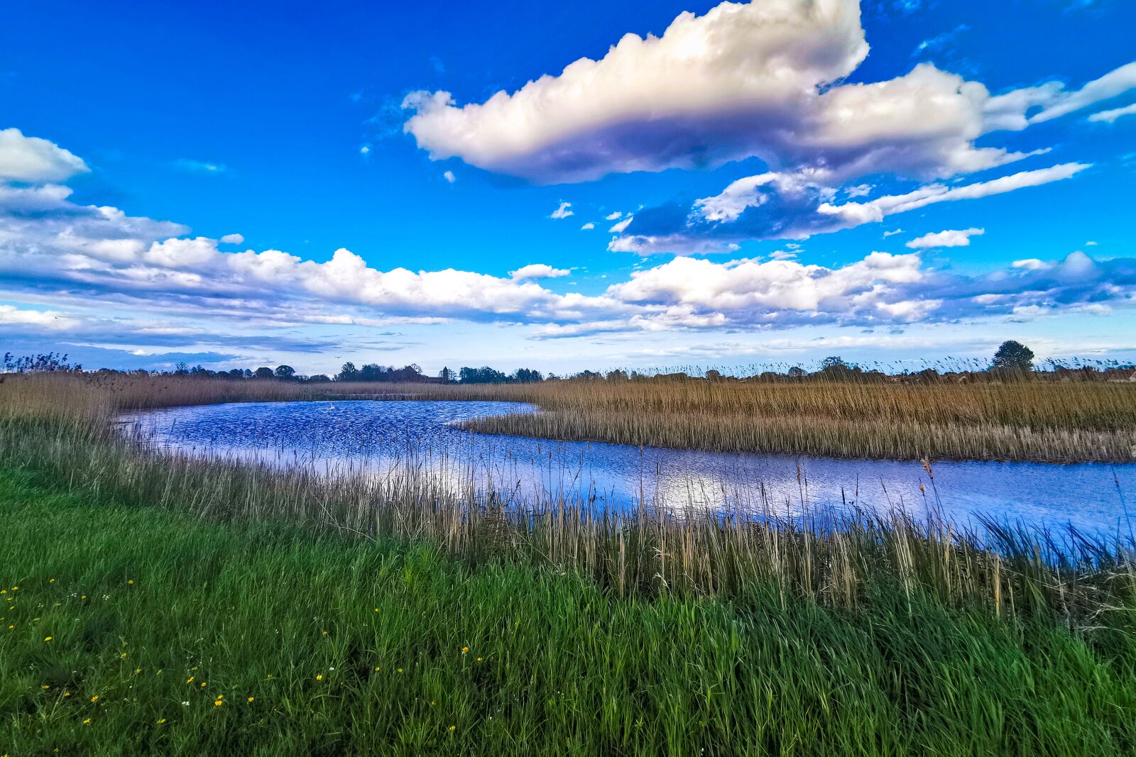 HUAWEI P30 Pro sample photo. Blue, sky, nature photography