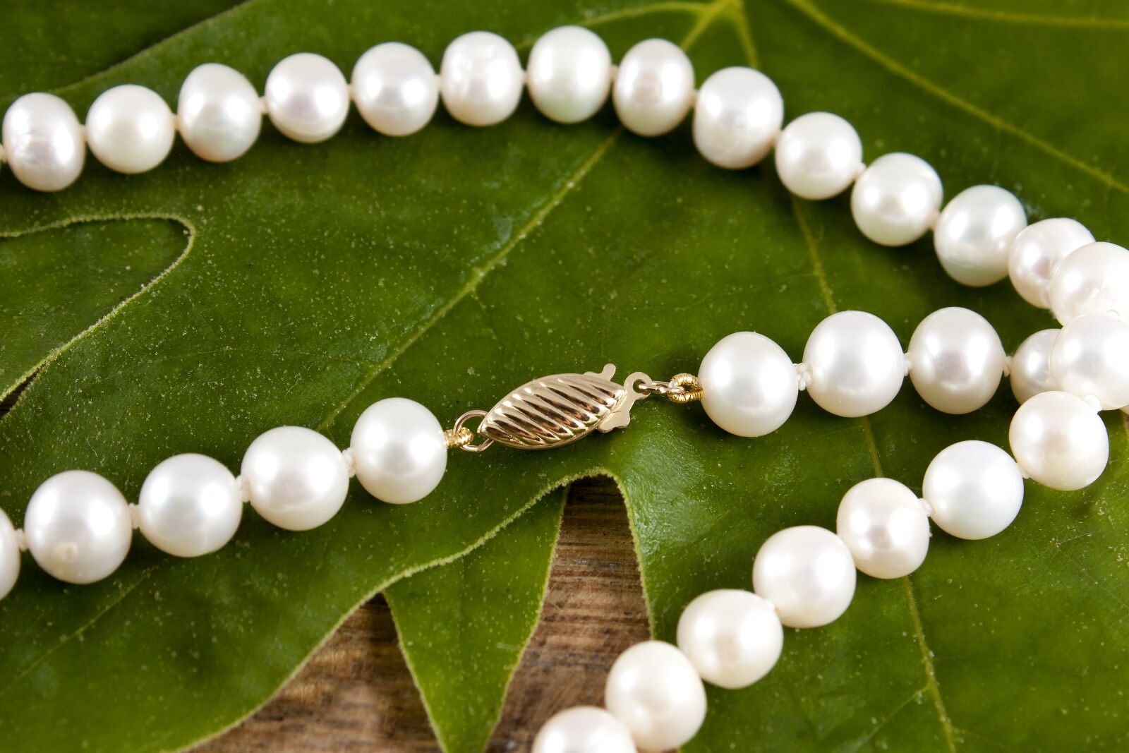 Canon EOS 450D (EOS Rebel XSi / EOS Kiss X2) sample photo. Jewelry, necklace, pearls photography