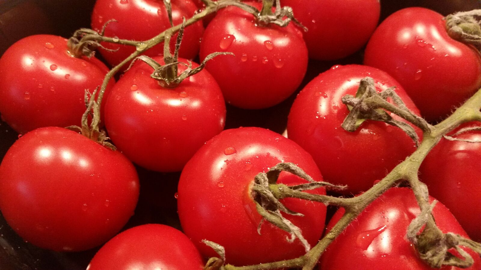Samsung Galaxy S5 sample photo. Tomatoes, red, vegetables photography