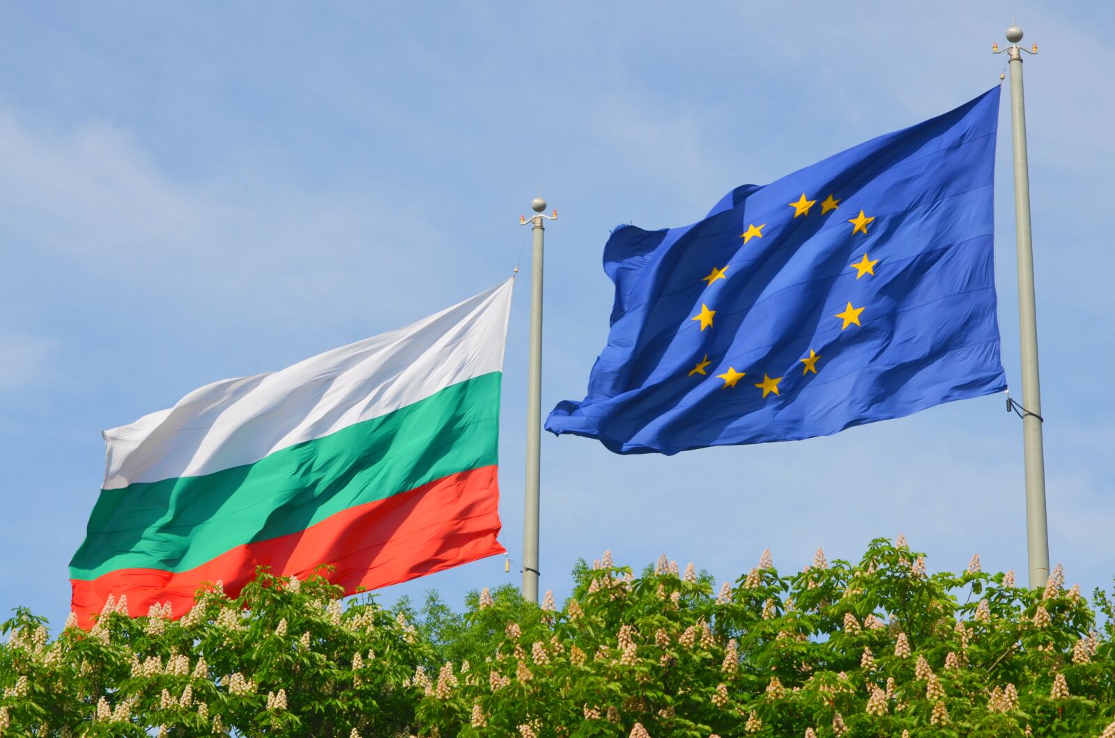 Nikon D5100 sample photo. Bulgaria, flag, the european photography