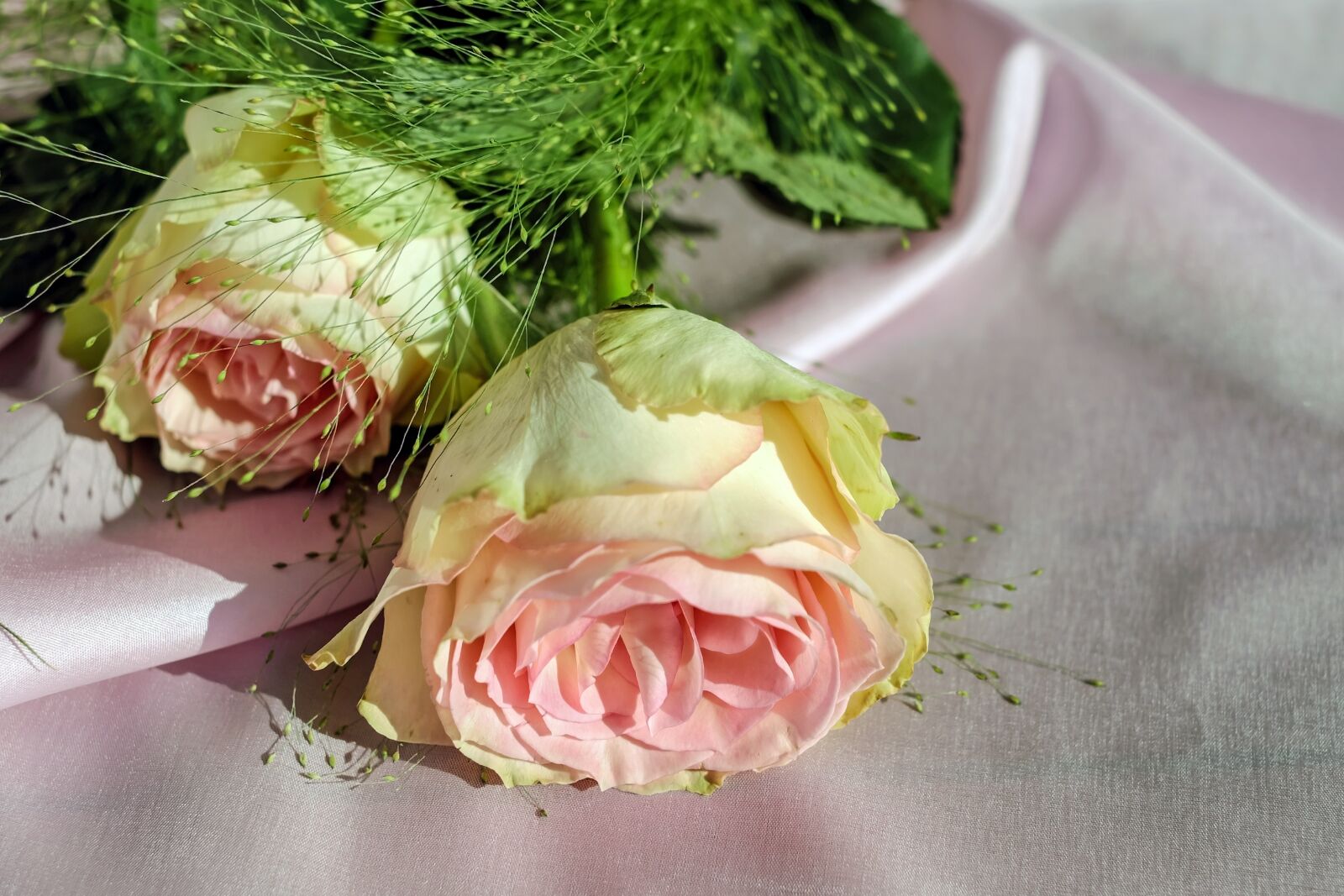 Fujifilm X-T10 + Fujifilm XF 35mm F1.4 R sample photo. Rose, floribunda, flower photography