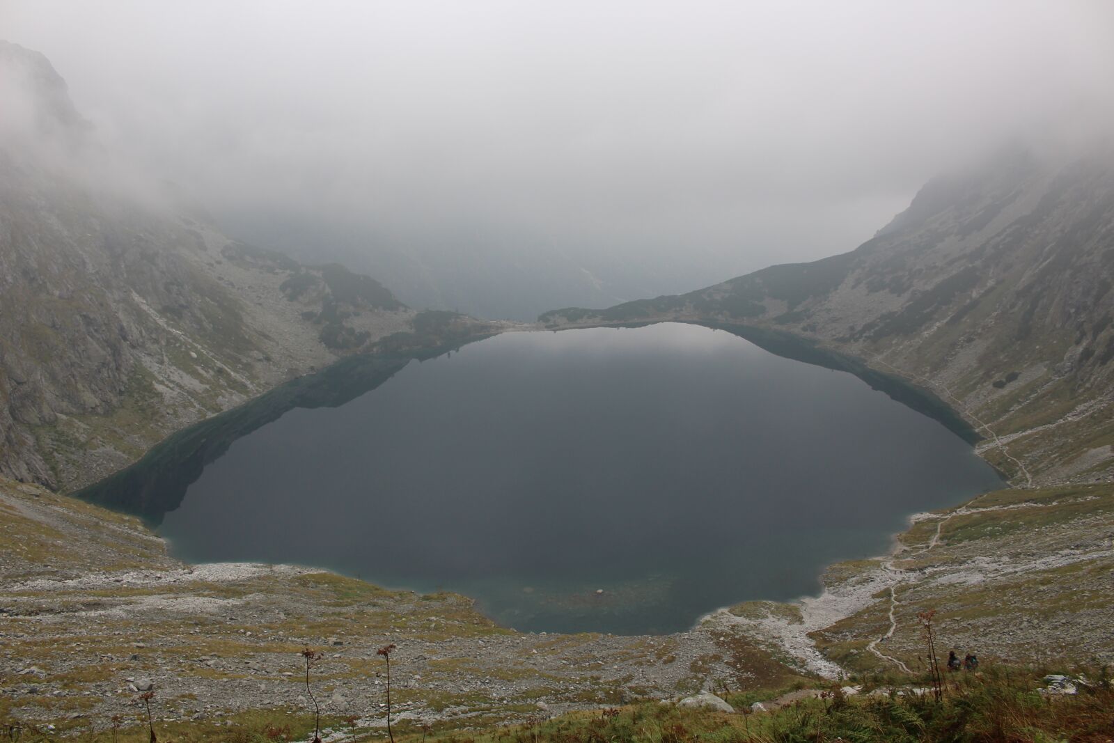 Canon EOS 100D (EOS Rebel SL1 / EOS Kiss X7) sample photo. Buried, black pond, nature photography