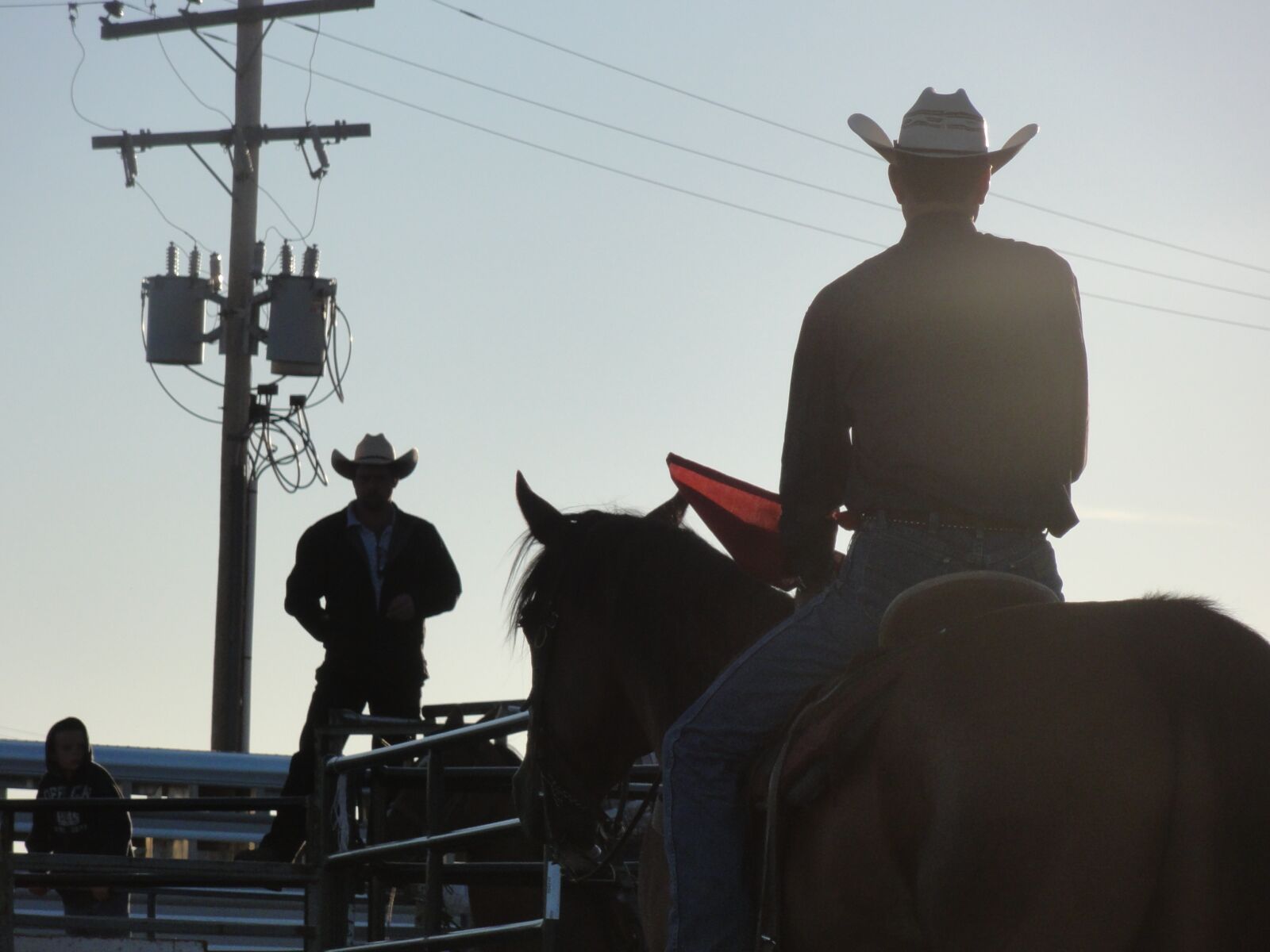 Sony DSC-HX5V sample photo. Cowboy, horse, rodeo photography