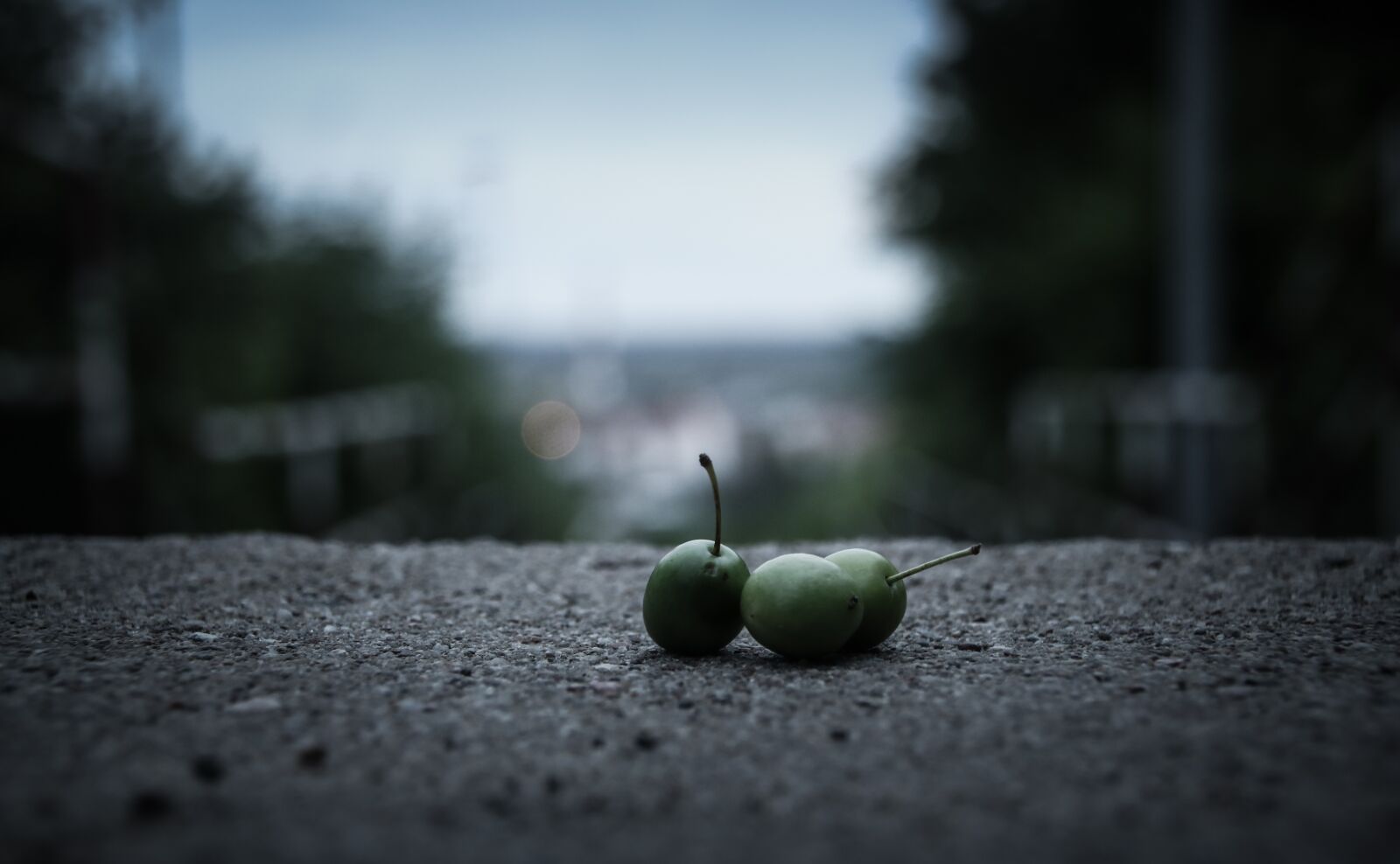 Canon EOS 750D (EOS Rebel T6i / EOS Kiss X8i) sample photo. Olives, stone stairs, view photography
