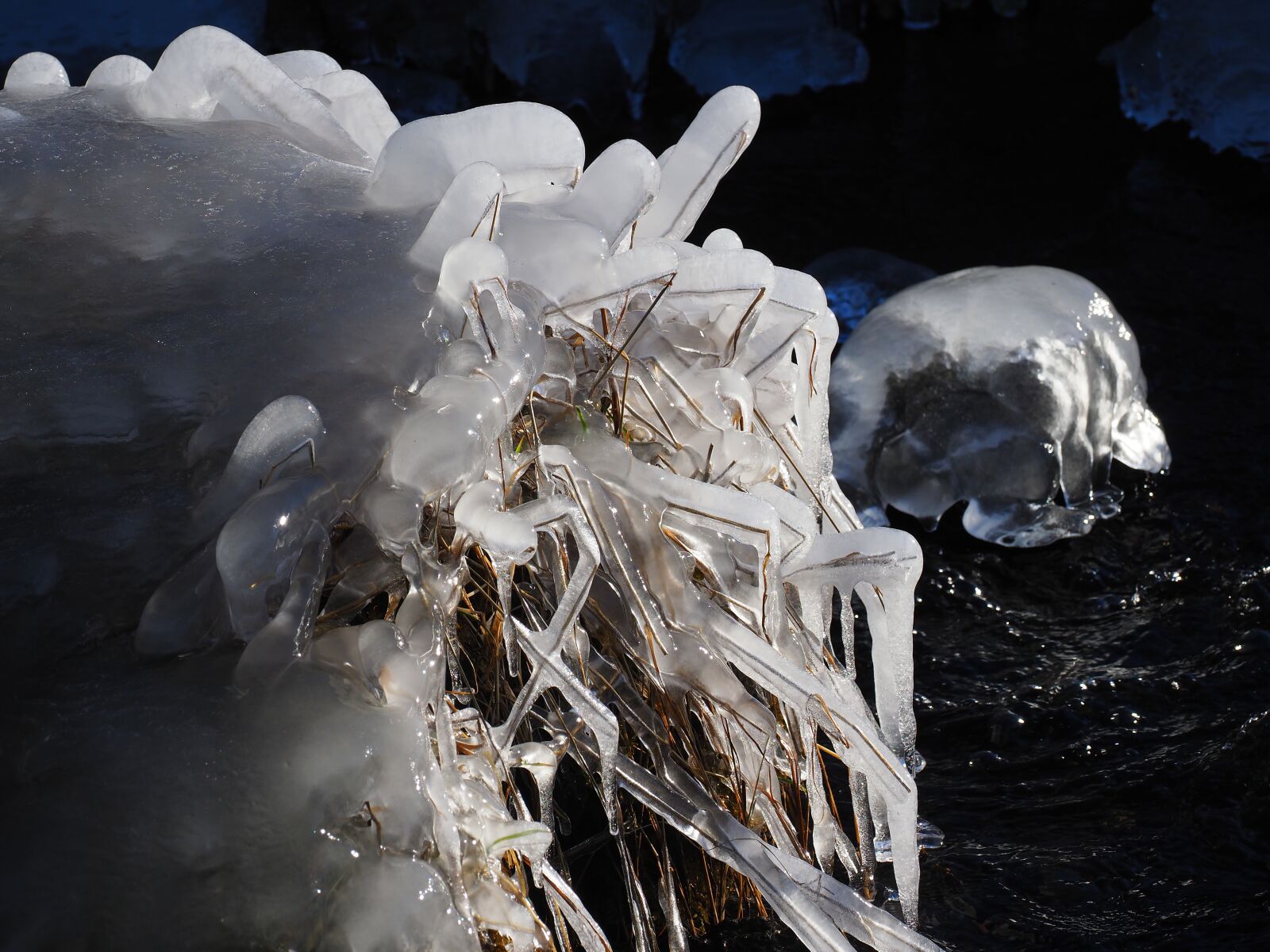 Olympus M.Zuiko Digital ED 12-100mm F4.0 IS Pro sample photo. Ice, frozen, iced photography