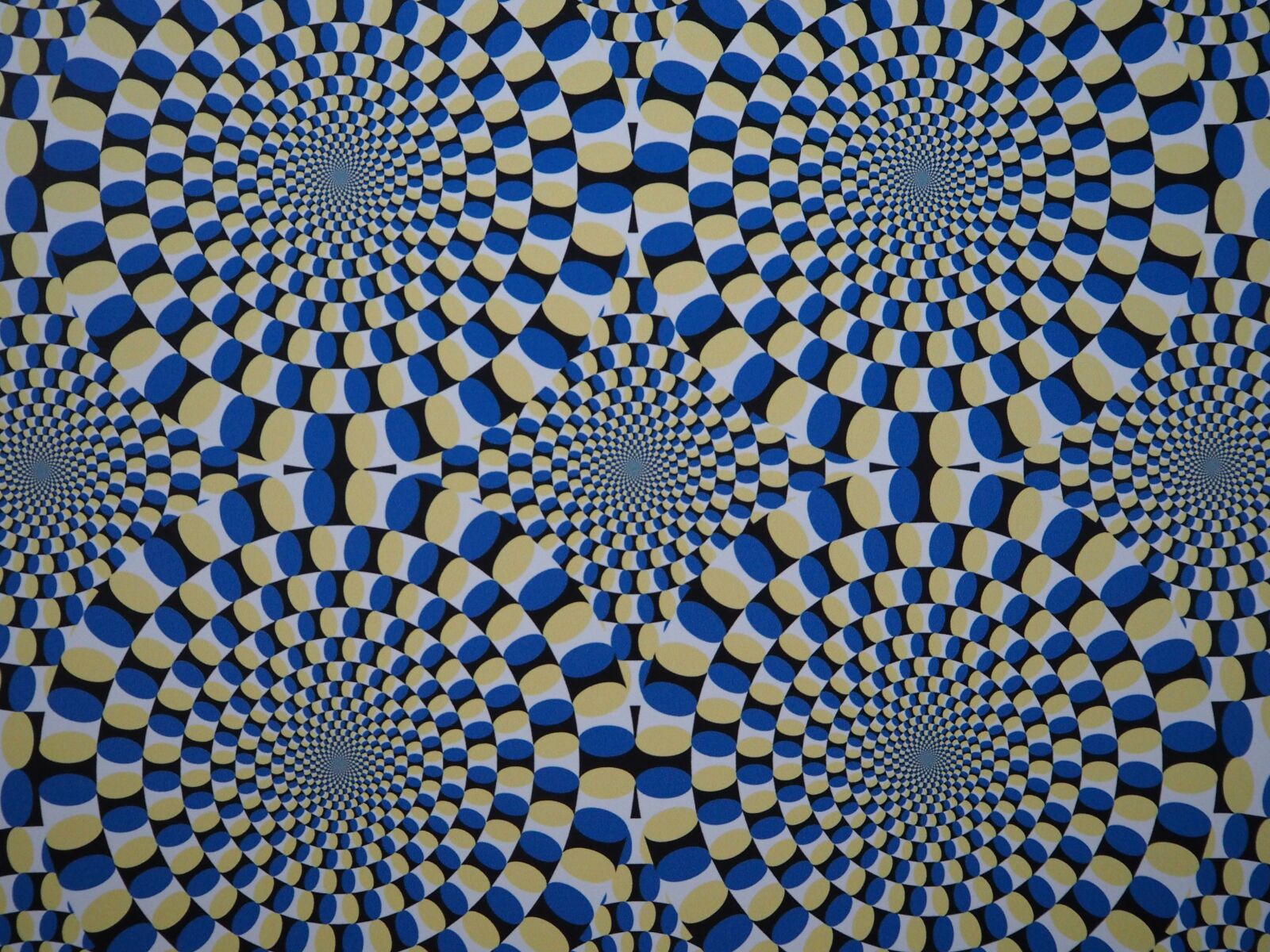 Olympus PEN E-PL7 sample photo. Pattern, irritation, effect photography