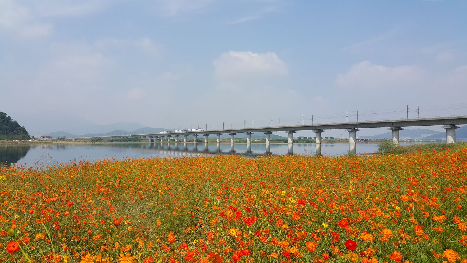 Samsung Galaxy Note4 sample photo. Nakdong river, ktx, flowers photography