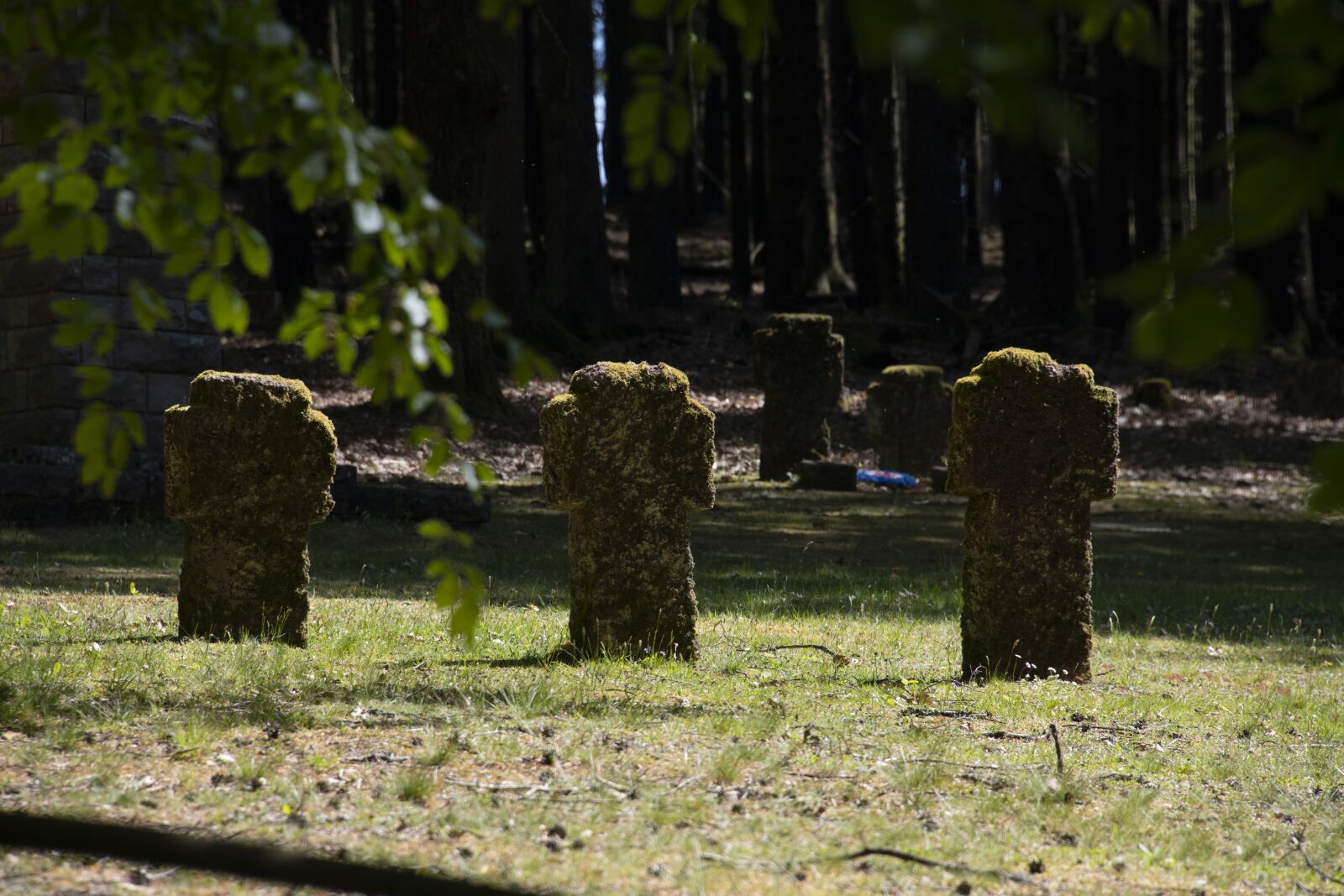 Nikon D850 sample photo. Military cemetery, cemetery, crosses photography