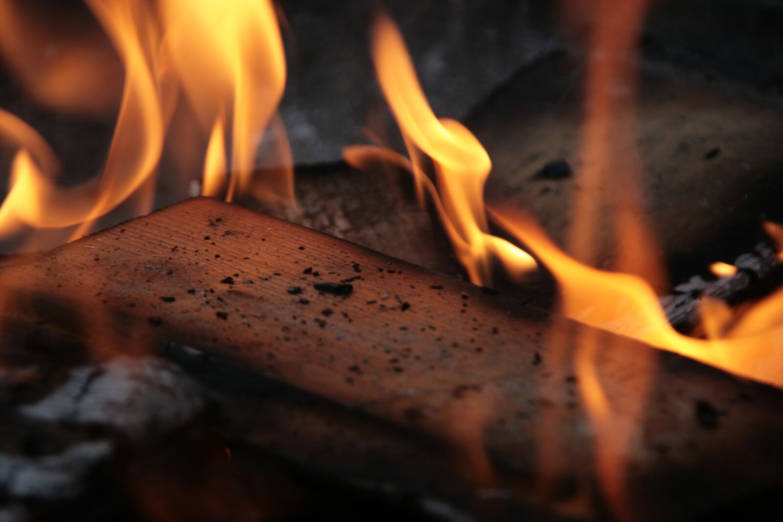 Canon EOS 400D (EOS Digital Rebel XTi / EOS Kiss Digital X) sample photo. Fire, combustion, burn photography