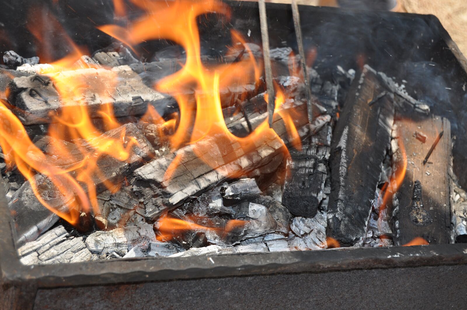 Nikon D90 sample photo. Ali, barbecue, embers photography
