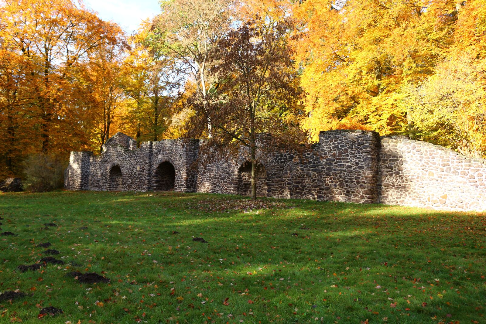 Canon EOS 100D (EOS Rebel SL1 / EOS Kiss X7) sample photo. Autumn, ruin, fall foliage photography