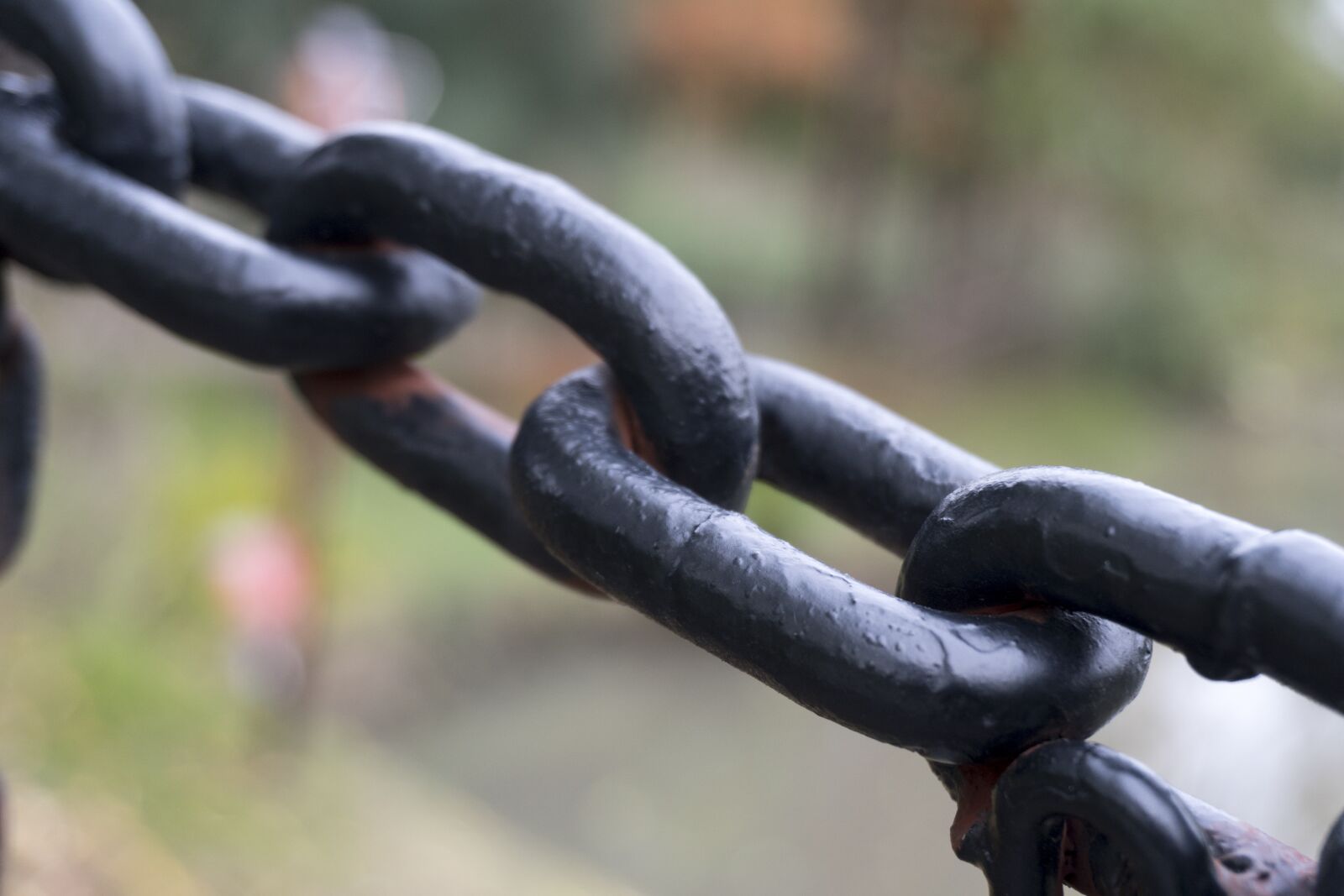 Sony E 16-50mm F3.5-5.6 PZ OSS sample photo. Chain, metal, link photography
