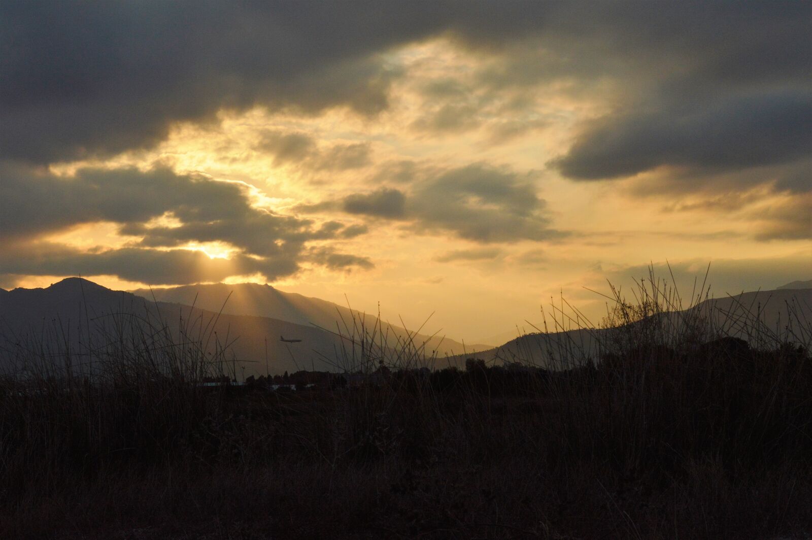 Nikon D3200 sample photo. Nature, sun, sunset photography