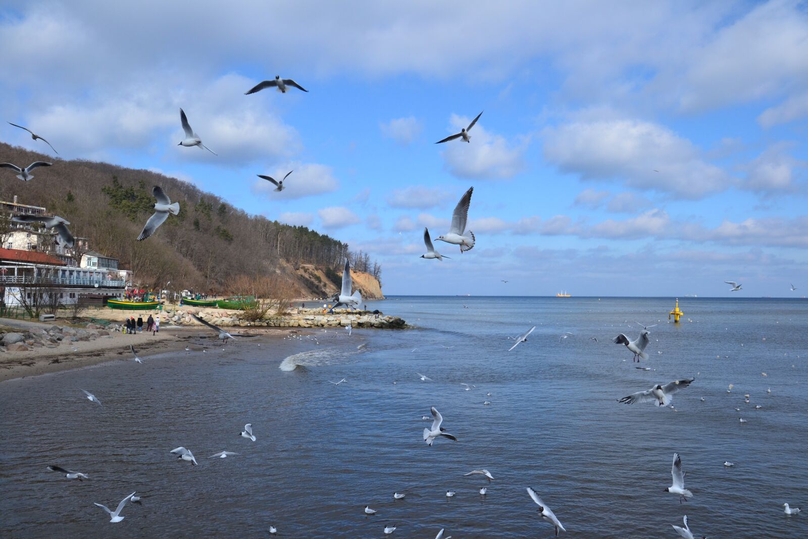 Nikon D3100 sample photo. Monolithic part of the photography