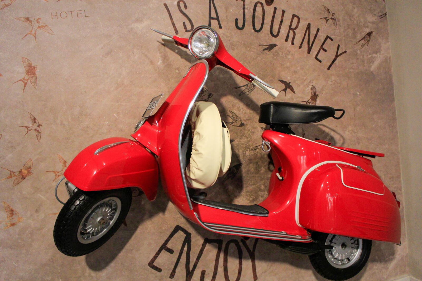 Canon EOS 60D + Canon EF-S 18-55mm F3.5-5.6 IS II sample photo. Red, vespa, motorcycle photography