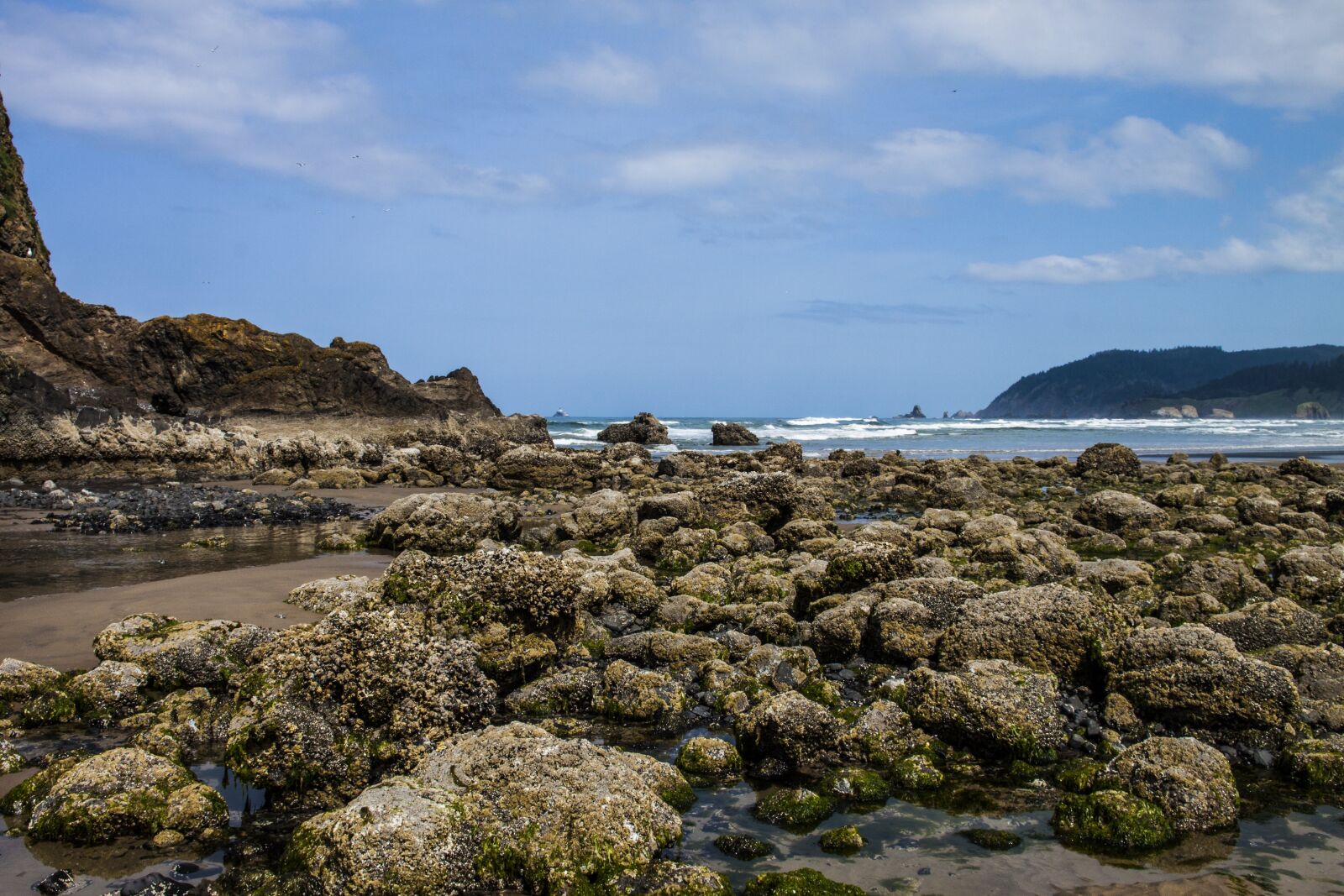 Canon EOS 500D (EOS Rebel T1i / EOS Kiss X3) sample photo. Cannon, beach, tidepools photography