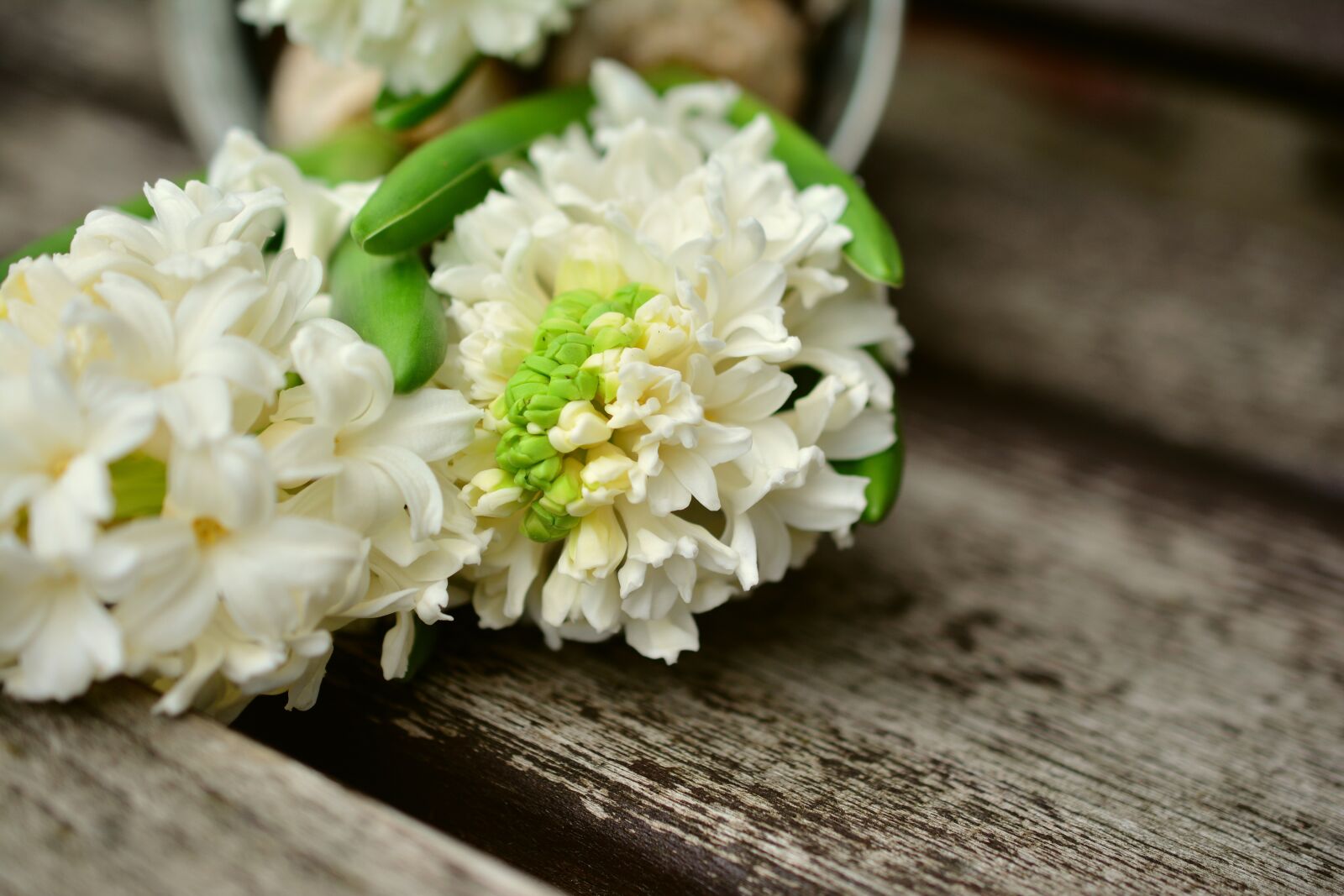 Nikon D5200 sample photo. Hyacinth, white hyacinth, hyacinthus photography