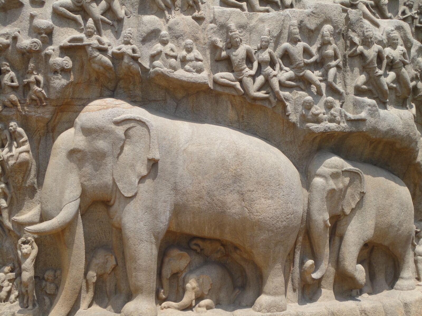 Sony DSC-W350 sample photo. Elephant, mahaballipuram, temple photography