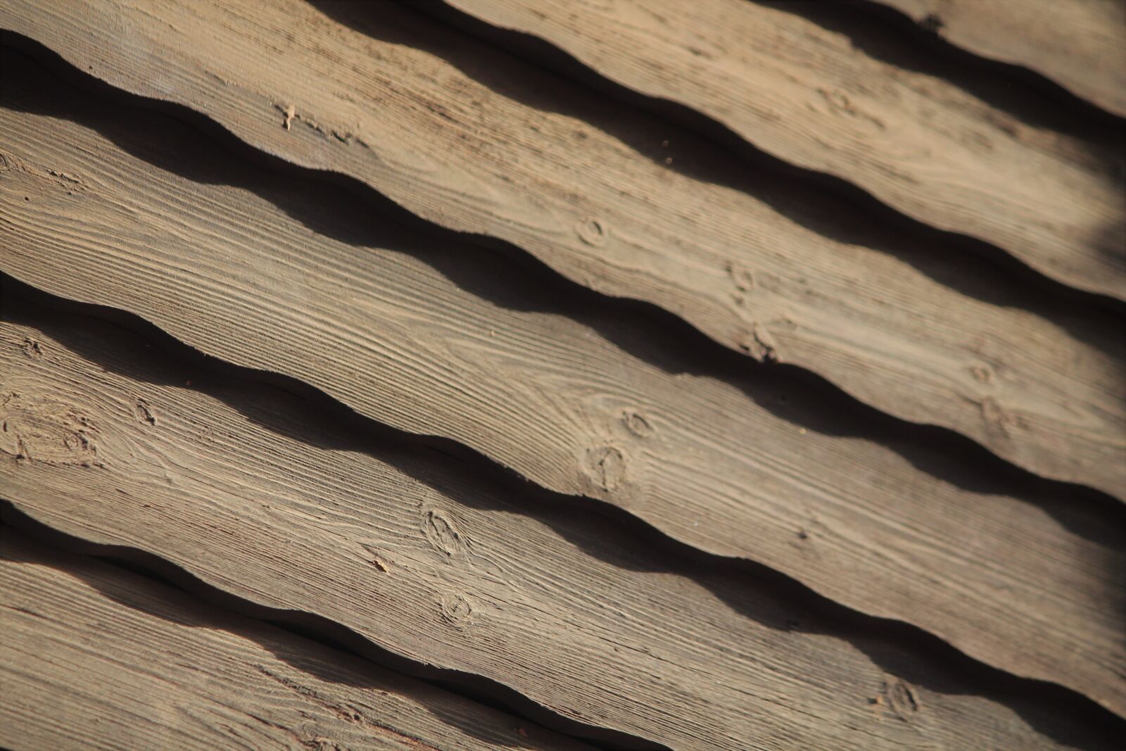 Canon EOS 1100D (EOS Rebel T3 / EOS Kiss X50) sample photo. Texture, design, wood photography