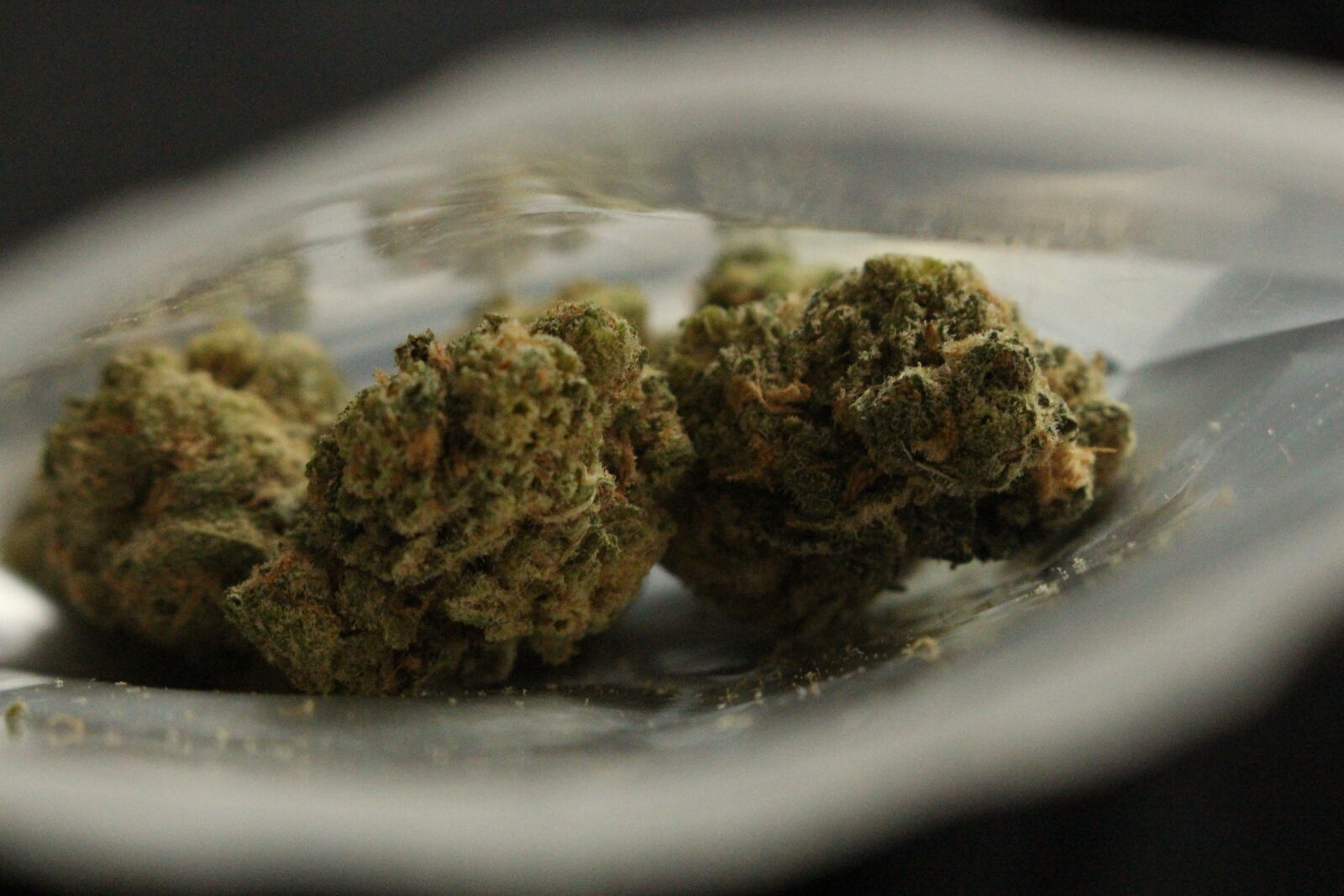 Canon EOS 700D (EOS Rebel T5i / EOS Kiss X7i) sample photo. 420, bud, cannabis, close photography