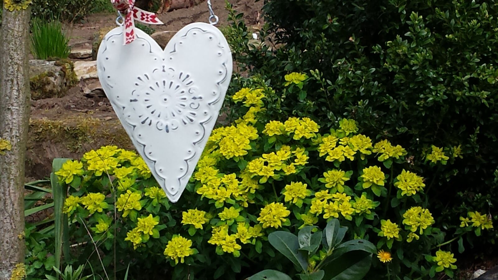 Samsung Galaxy S4 sample photo. Heart, flowers, romance photography