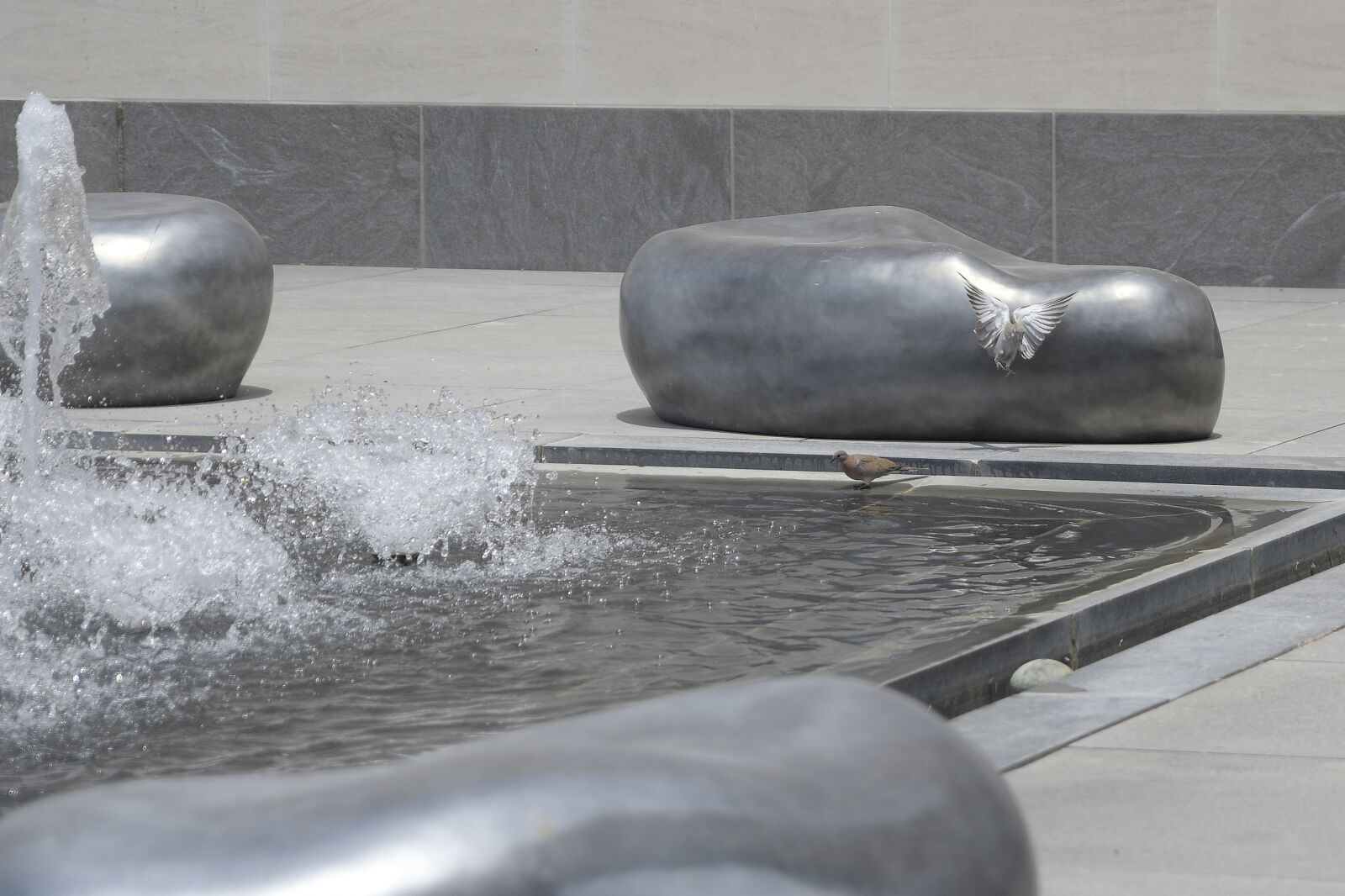 Nikon D500 sample photo. Mia, qatar, water fountain photography