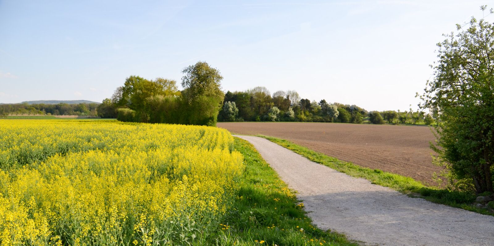 Nikon D7000 sample photo. Landscape, away, dawn photography