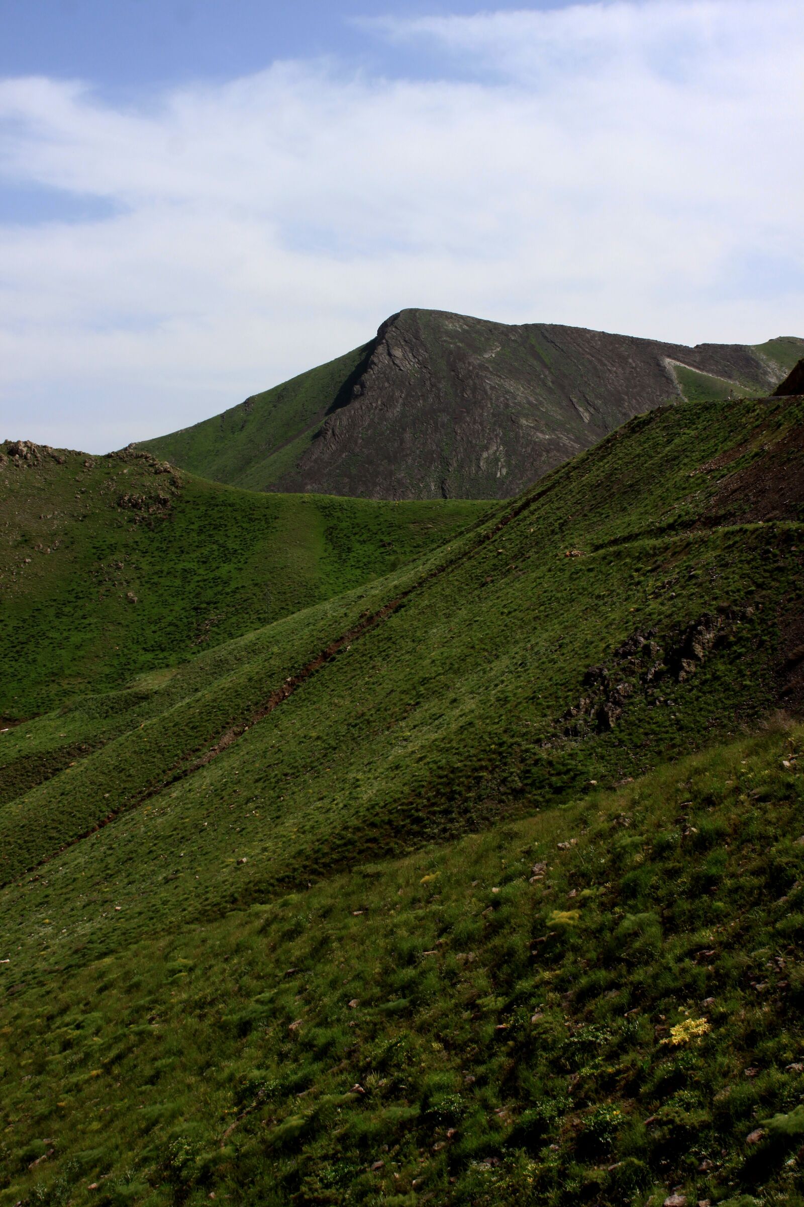 Canon EOS 500D (EOS Rebel T1i / EOS Kiss X3) sample photo. Nature, mountain, spring photography