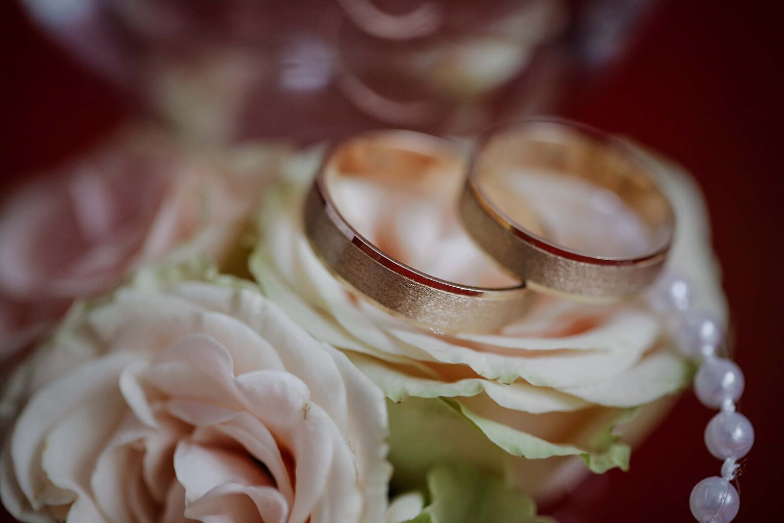Canon EF 100mm F2.8 Macro USM sample photo. Roses, wedding ring, gold photography