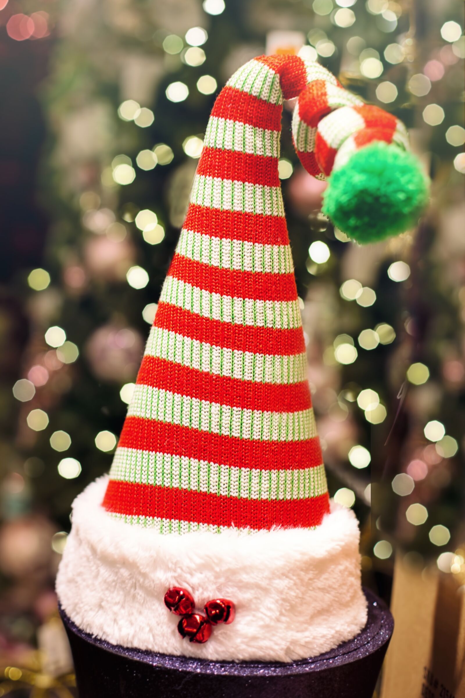 Canon EF 50mm F1.4 USM sample photo. Santa hat, elf hat photography