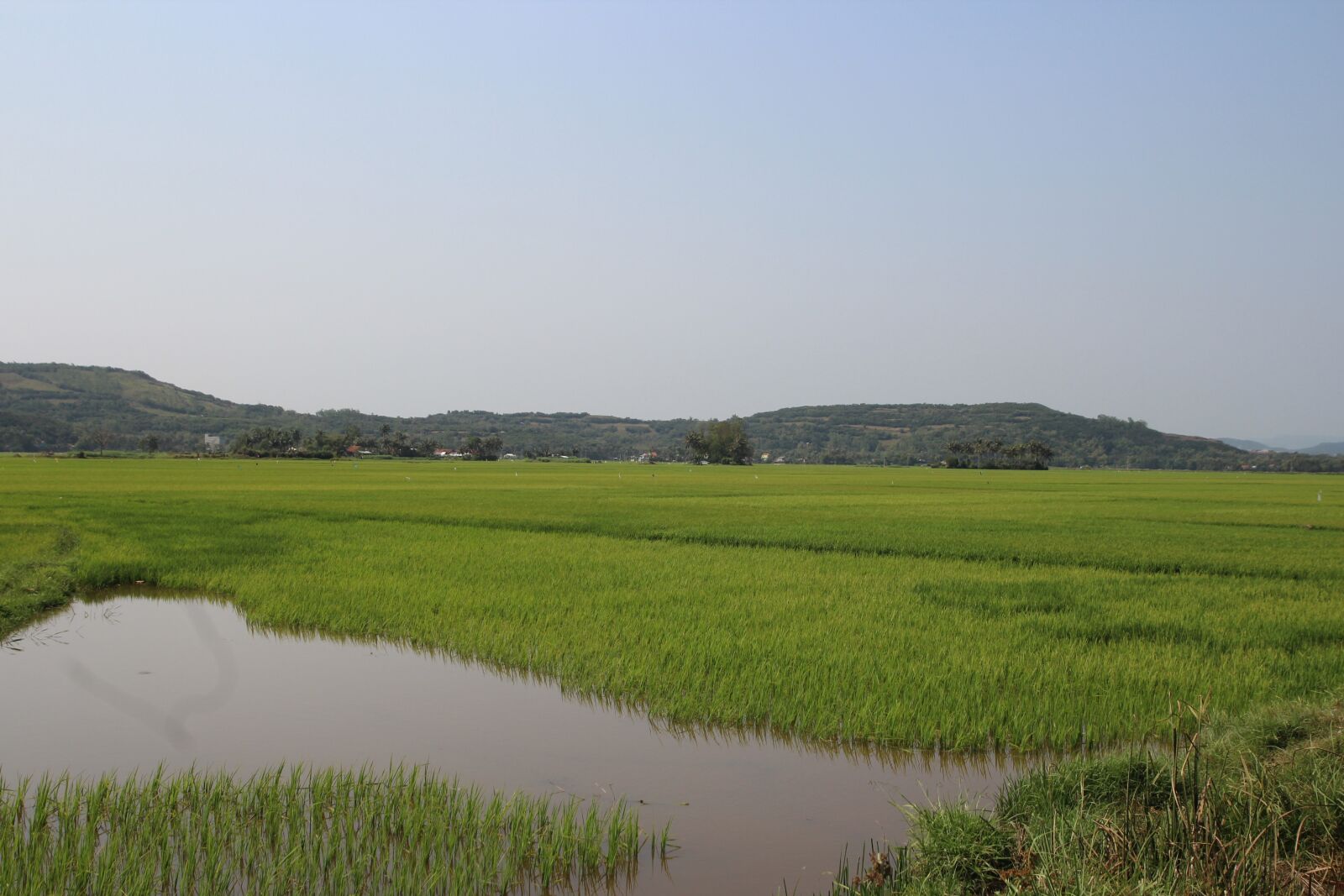 Tamron SP AF 17-50mm F2.8 XR Di II LD Aspherical (IF) sample photo. Vietnam, asia, field photography