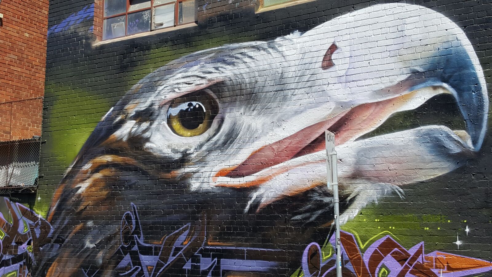 Samsung Galaxy S6 sample photo. Hawk, australia, street art photography