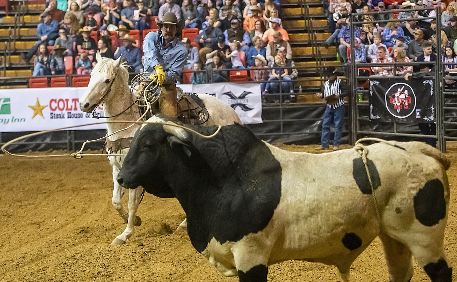 Nikon D850 sample photo. Cowboy, bull, rodeo photography