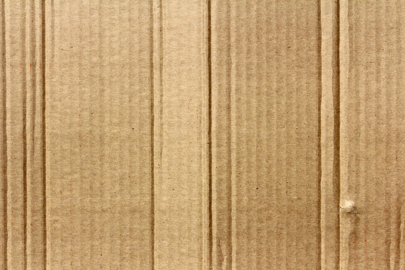 Canon EOS 650D (EOS Rebel T4i / EOS Kiss X6i) sample photo. Brown, cardboard, close, up photography