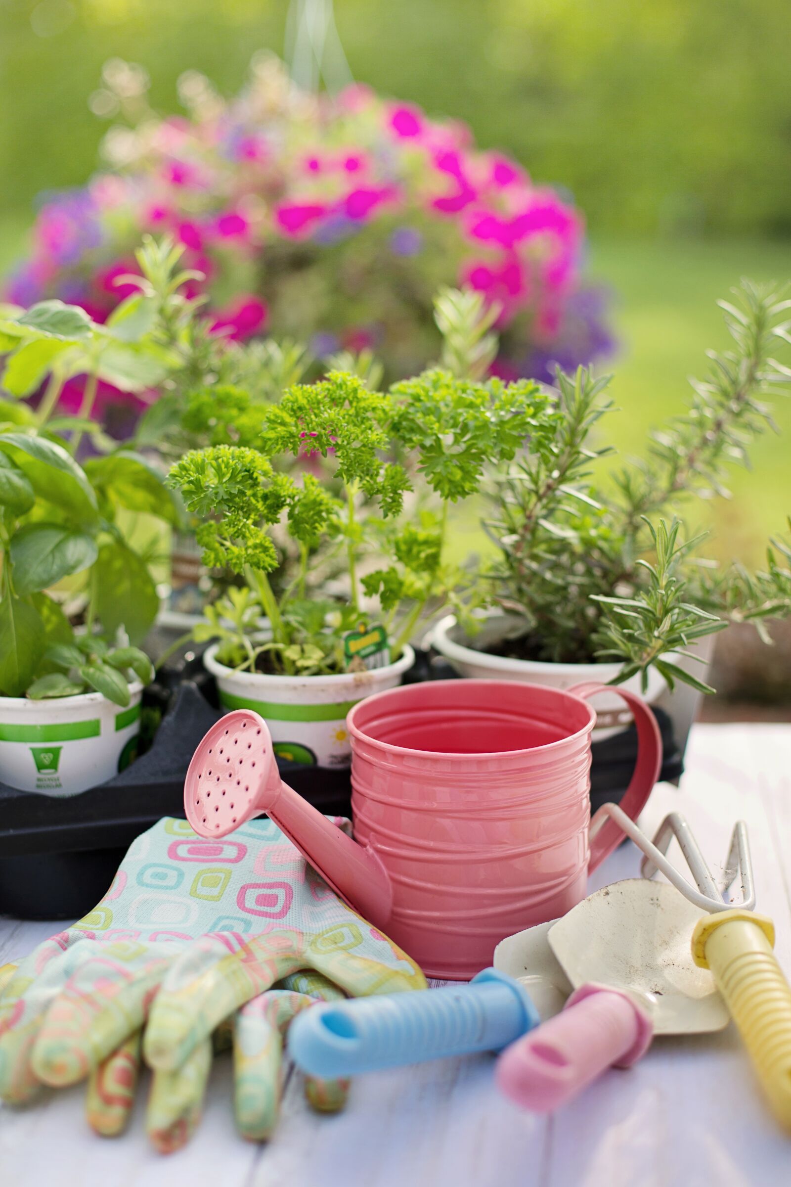 Canon EF 50mm F1.4 USM sample photo. Planting, spring, herbs photography