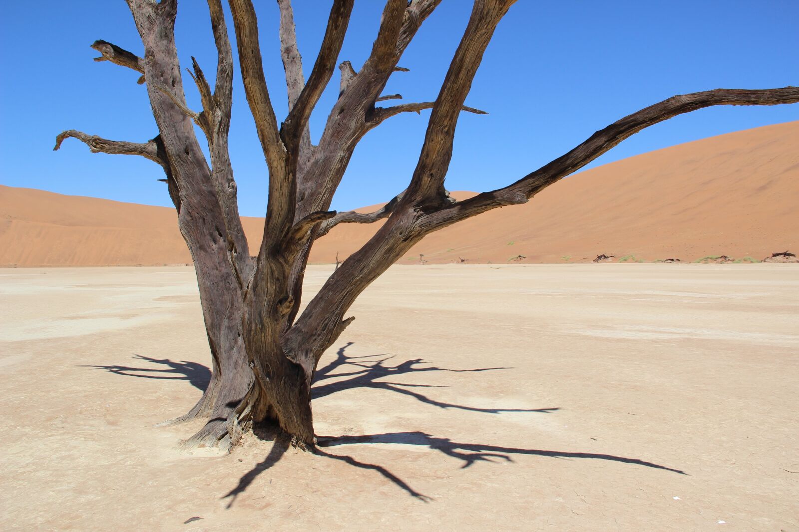 Canon EOS 600D (Rebel EOS T3i / EOS Kiss X5) sample photo. Namibia, desert, sand photography
