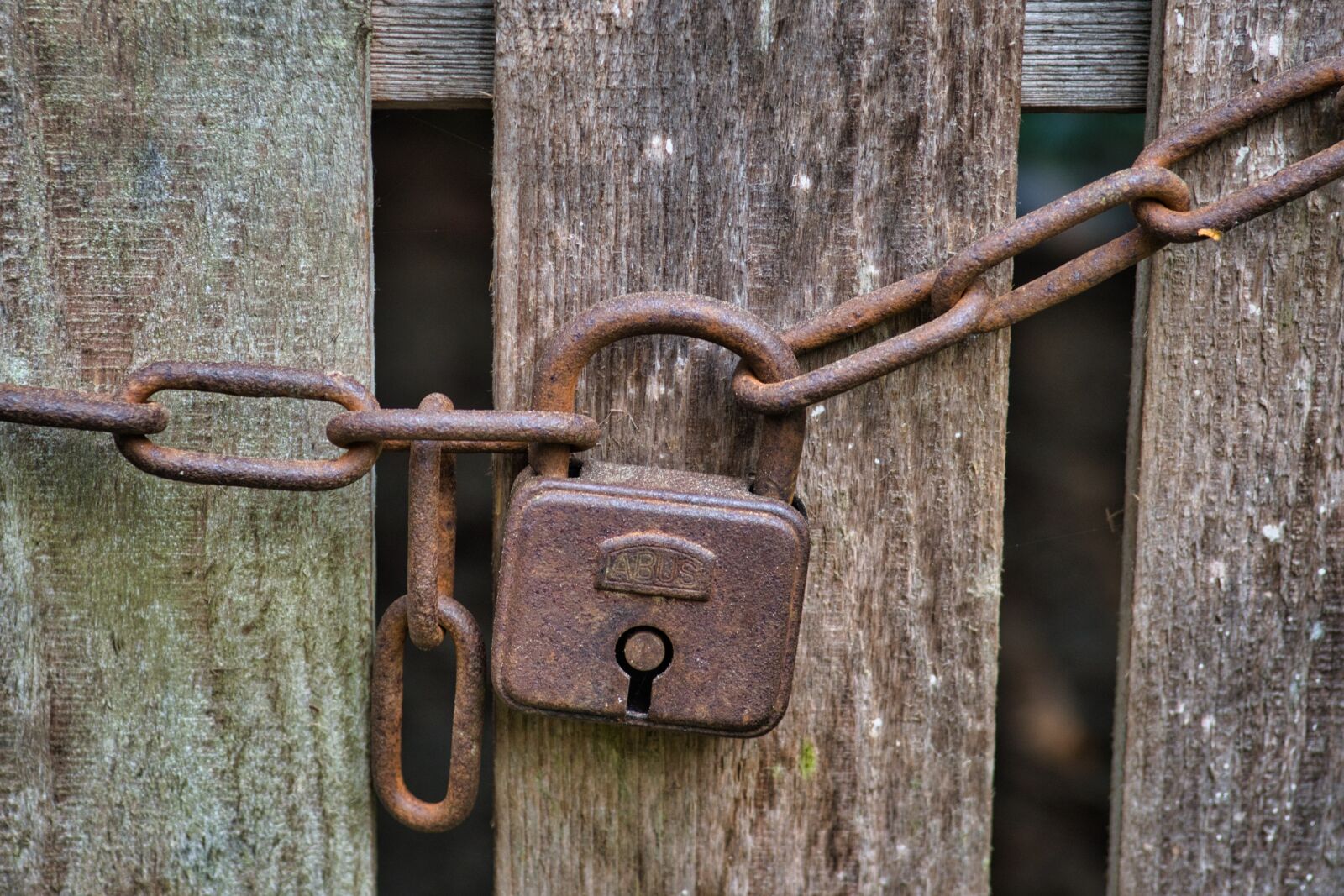 Nikon D7500 sample photo. Castle, padlock, chain photography