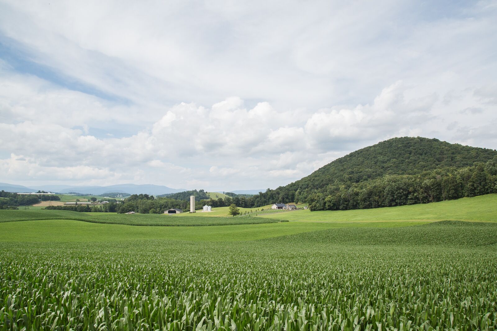 Canon EF 24-105mm F4L IS USM sample photo. Green, land, sky photography
