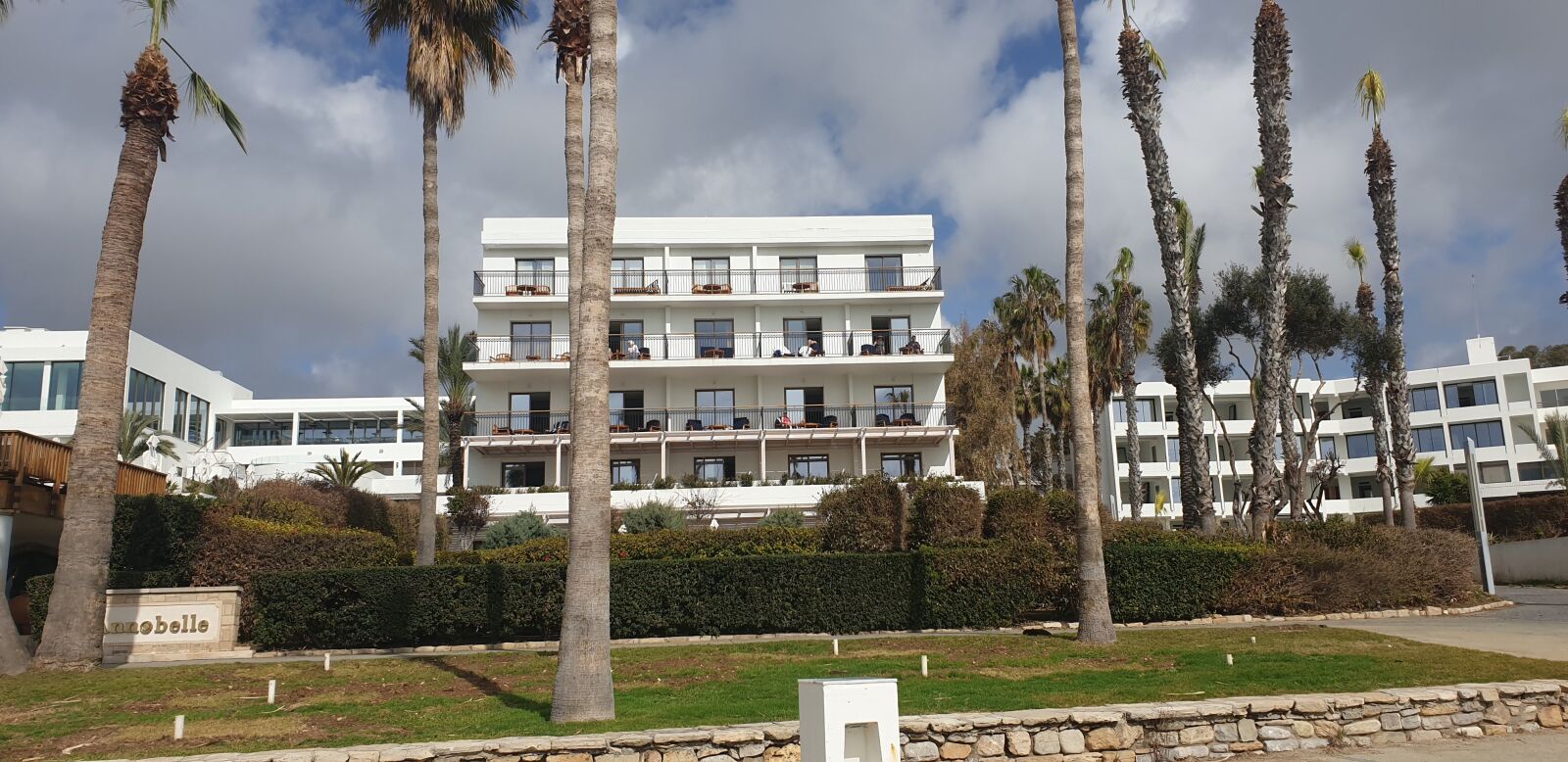 Samsung Galaxy Note9 sample photo. Beach, paphos, tree photography