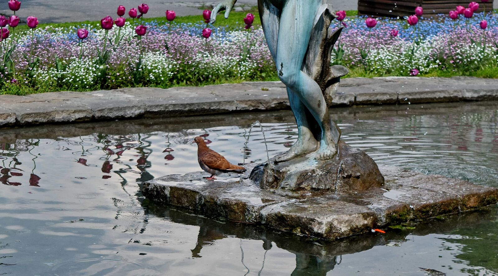 Nikon D5500 sample photo. Fountain, garden, pigeon, sculpture photography