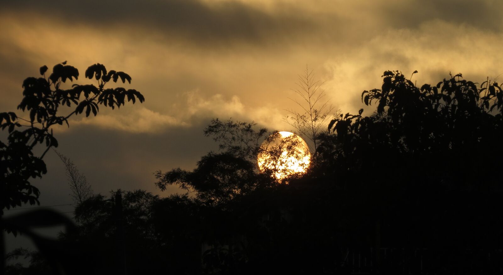 Canon PowerShot SX50 HS sample photo. Sunset, nature, dawn photography