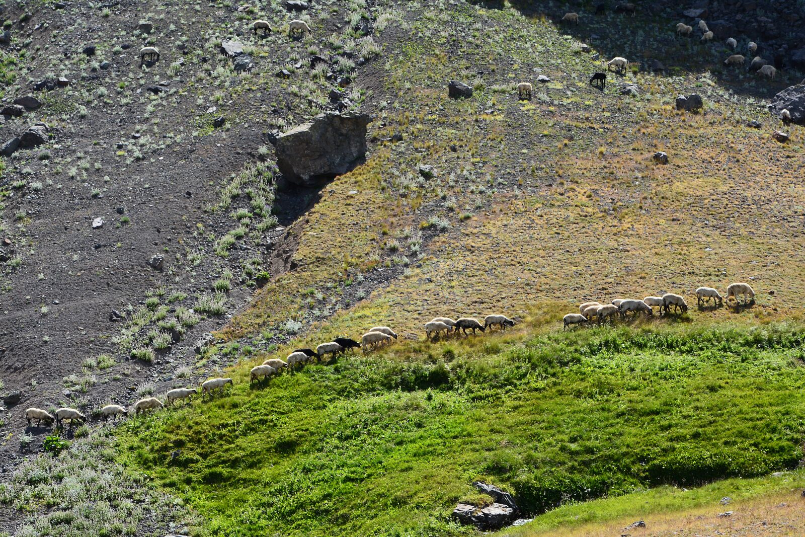 Nikon D7100 sample photo. Mountain, highland, nature photography