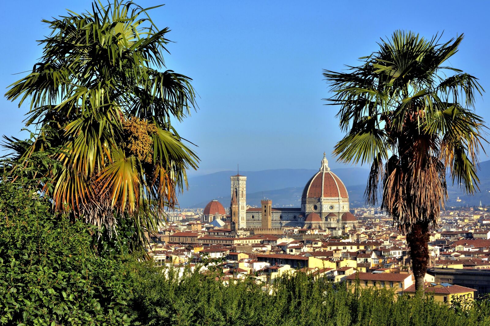Nikon D7100 sample photo. Florence, city, italy photography