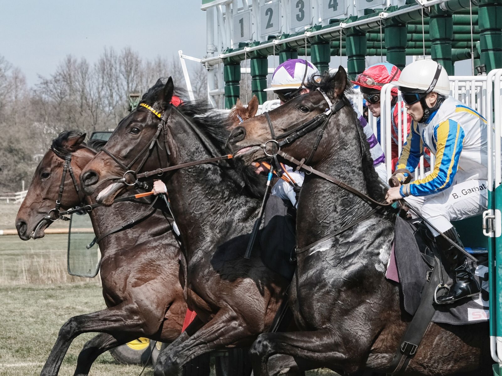 Fujifilm X-T2 + Fujifilm XF 55-200mm F3.5-4.8 R LM OIS sample photo. Bremer rennverein, horse racing photography