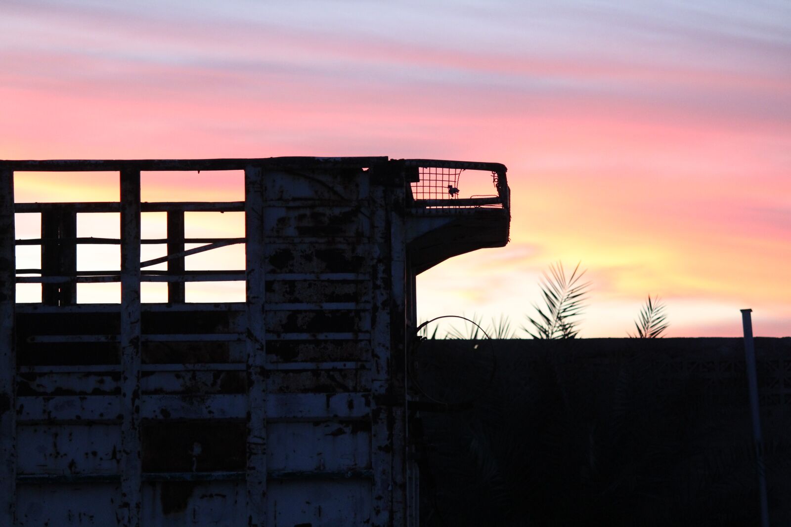 Canon EF-S 55-250mm F4-5.6 IS II sample photo. Sunset, colorful, black photography