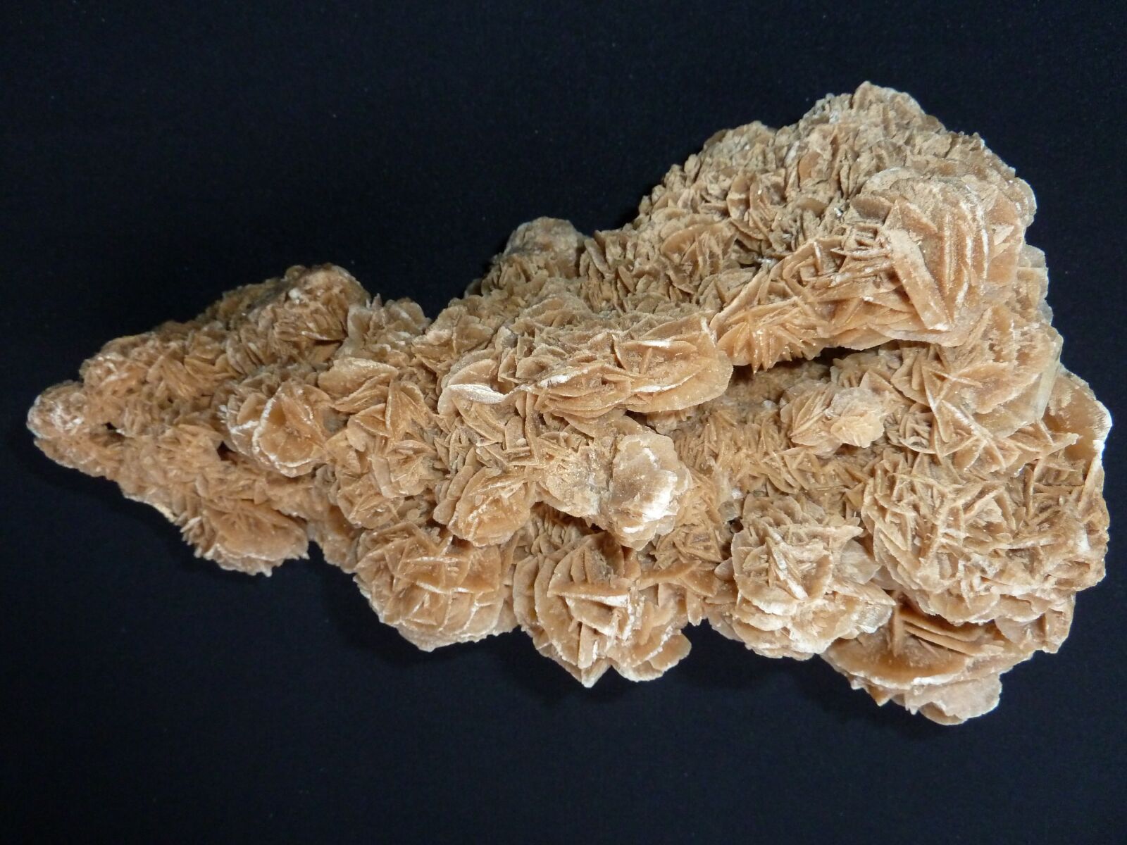 Panasonic Lumix DMC-ZS7 (Lumix DMC-TZ10) sample photo. Sand rose, desert rose photography