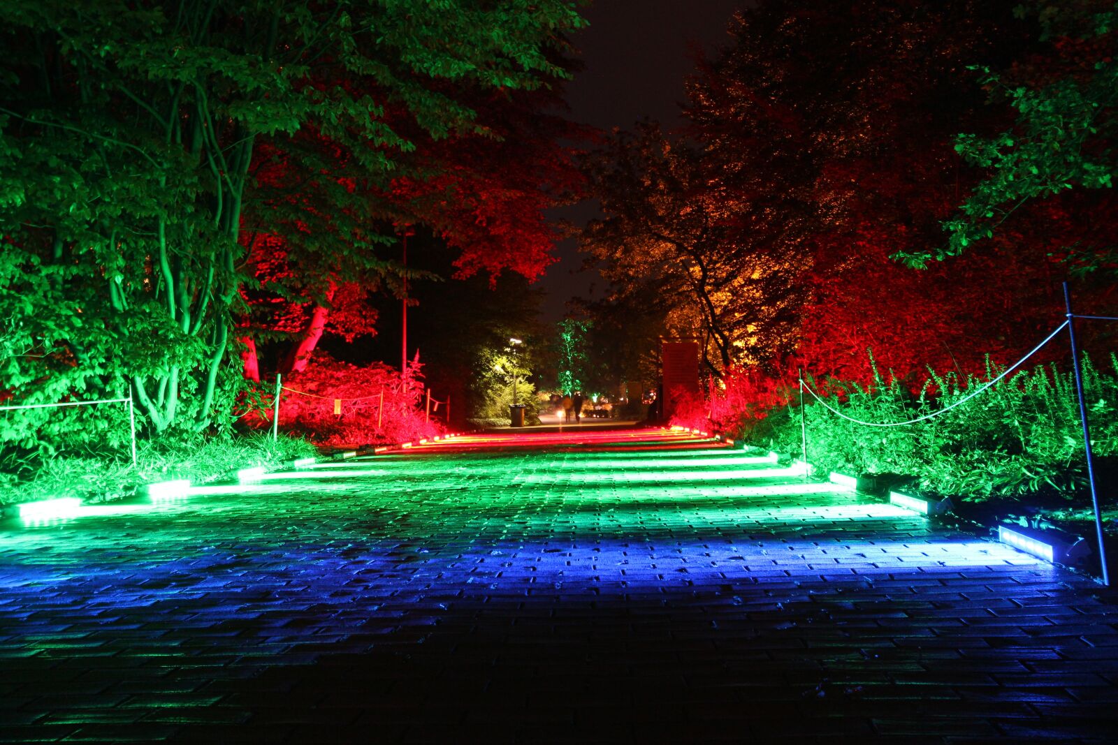 Canon EF-S 10-22mm F3.5-4.5 USM sample photo. Away, illuminated, colorful photography