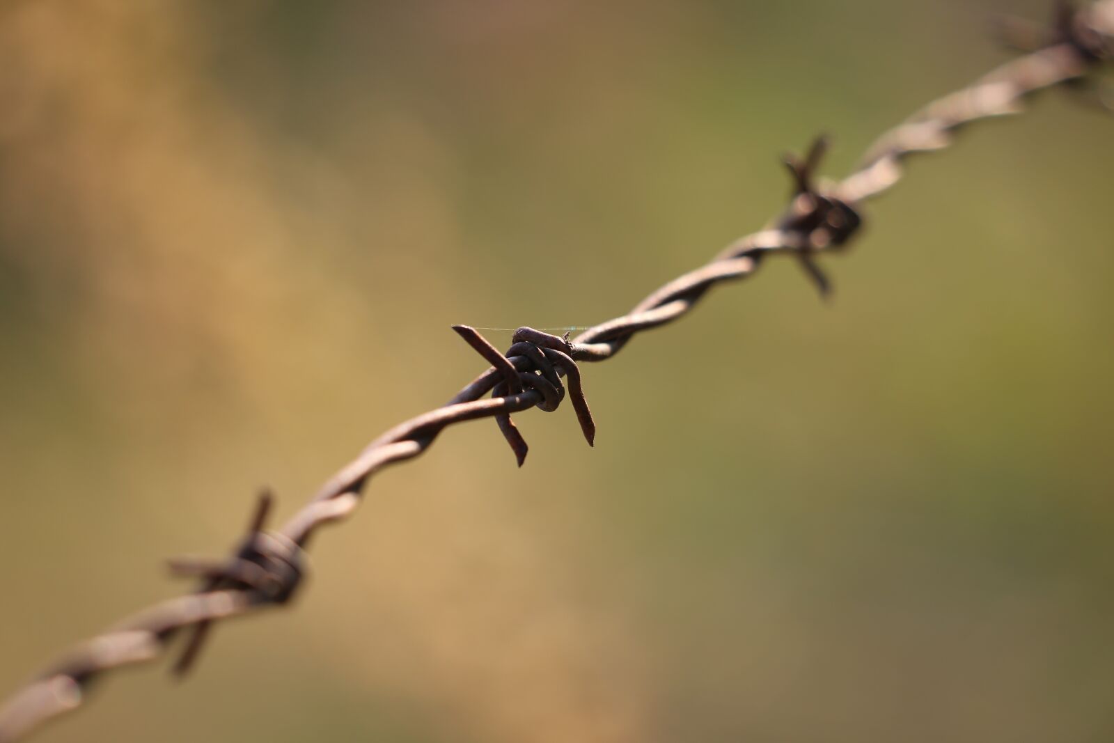 Canon EF 70-300 F4-5.6 IS II USM sample photo. Wire, metal, iron photography